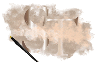 ST Beauty Concept Sticker