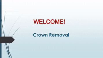 Best House Moving Services In Alder Walk GIF