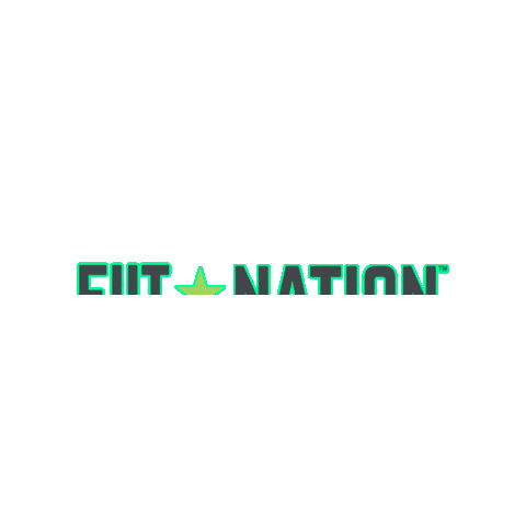 FIIT Nation Sticker