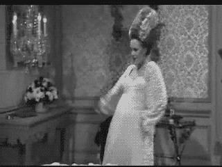 everybody wants to be a cat