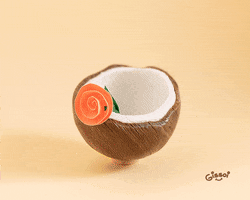 Flowers GIF
