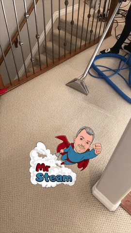Carpet Cleaning GIF by Mr. Steam