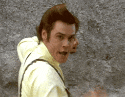 Lose Ace Ventura GIF