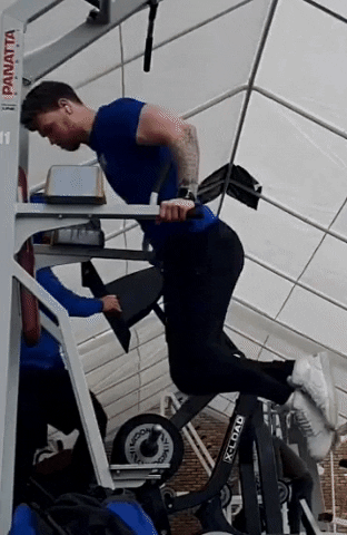giphy.gif