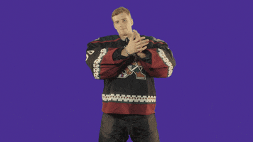 Nhl Clapping GIF by Arizona Coyotes