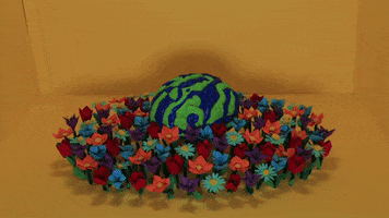 CJEcantons GIF