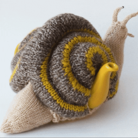 Snail GIF by TeaCosyFolk