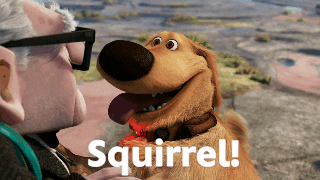 Animation GIF by Disney Pixar - Find & Share on GIPHY