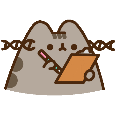 Source: Pusheen