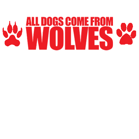 Wolves of the Rockies Sticker