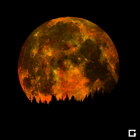 Super Moon GIF by gifnews