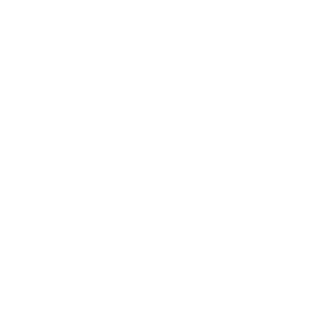 Neuroplan Sticker