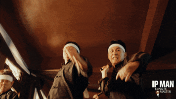 China Fighting GIF by Magnolia Pictures