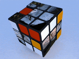 Rubiks Cube Shoebill GIF