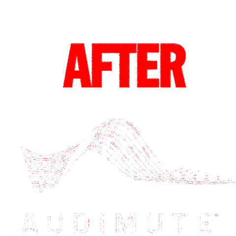 Sound Management Sticker by Audimute