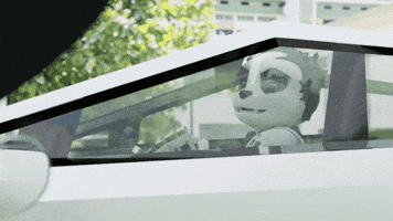 Car Lol GIF by Endangered Labs