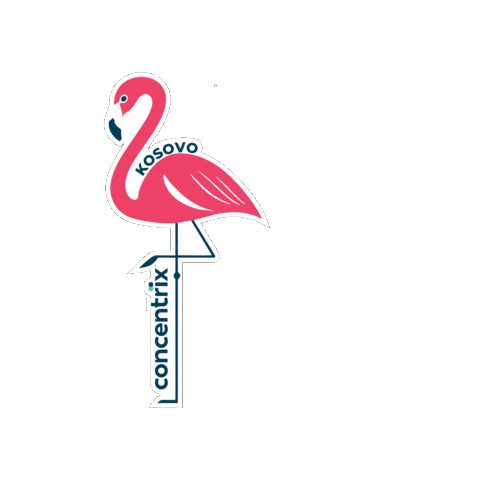 Concentrix Kosovo Sticker