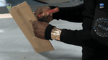 Bbnaija GIF by Big Brother Naija