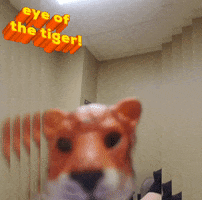 Eye Of The Tiger GIF