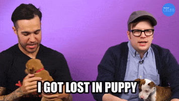 I Got Lost Puppies GIF by BuzzFeed