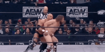 Bryan Danielson Wrestling GIF by AEWonTV