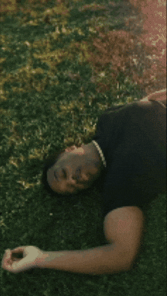 Lmao Lol GIF