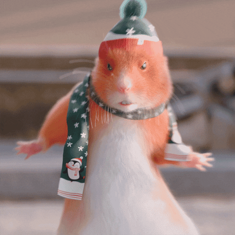 Happy Hamster GIF by Dedoles - Find & Share on GIPHY