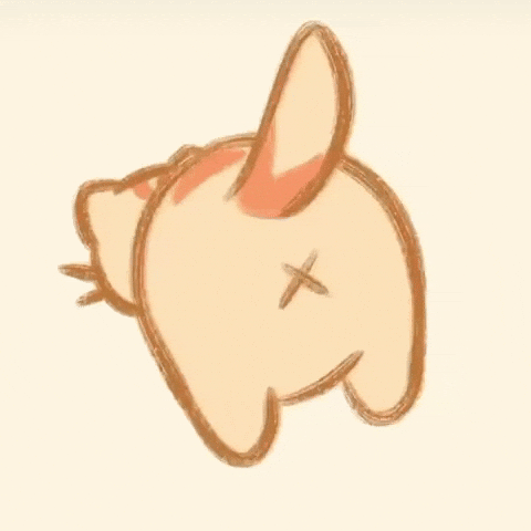 Cat GIF