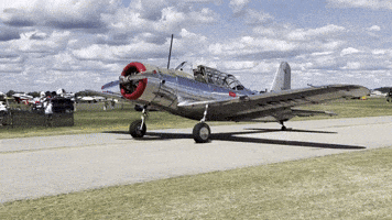 Airplane Trainer GIF