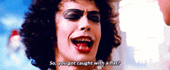rocky horror picture show sweet transvestite GIF