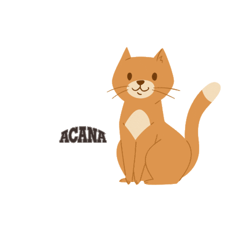 ACANA Sticker