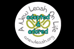 A New Leash on Life GIF
