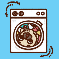 Laundry Day Dog GIF by Puglie Pug