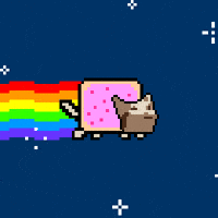 Pop Tart Cat GIFs - Find & Share on GIPHY