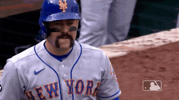 Ny Mets Beard GIF by New York Mets