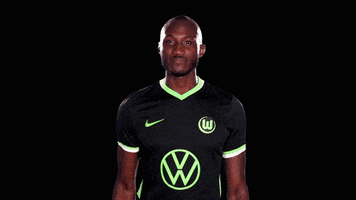 Celebrate Josuha Guilavogui GIF by VfL Wolfsburg