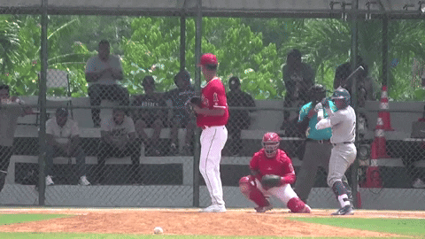 Animated GIF - Find & Share on GIPHY