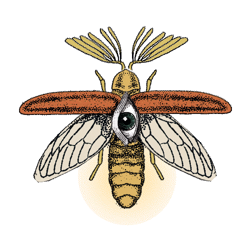 Tarot Sticker