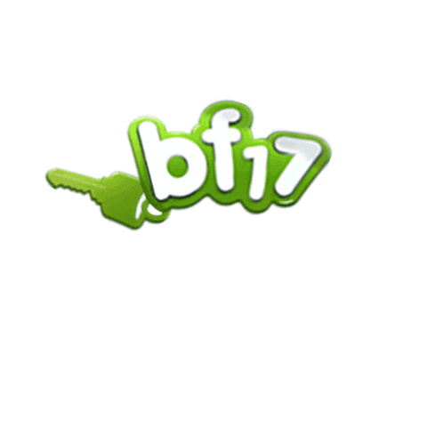 Das Begleitete Fahren ab 17 Sticker