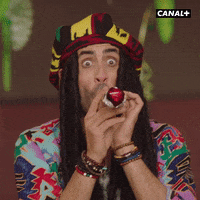 Bob Marley Love GIF by CANAL+