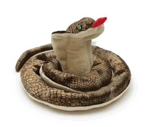 cobra