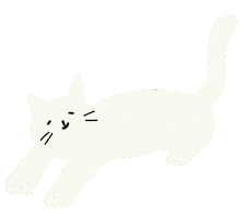 Cat ねこ Sticker