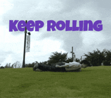 Roll Rolling GIF