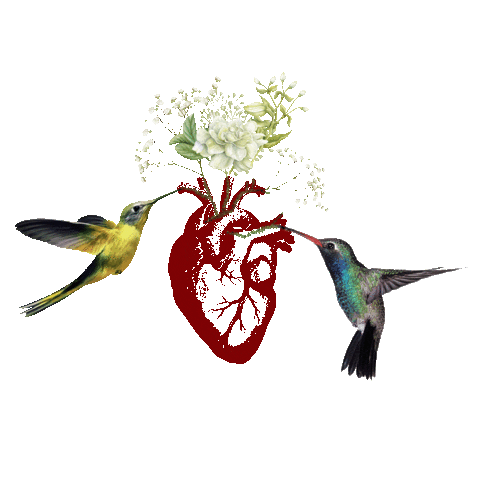 Heart Hummingbird Sticker