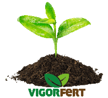 Vigor Fertilizantes Sticker