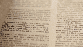 GIF by Universidad Linda Vista