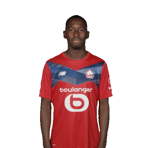 Lille Dogues Sticker by LOSClive