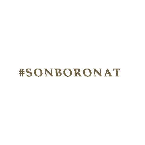 Son Boronat Sticker