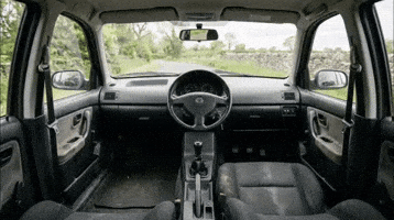 Caragnod3 GIF