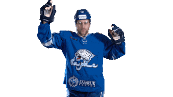 Dance Hockey Sticker by barys_official